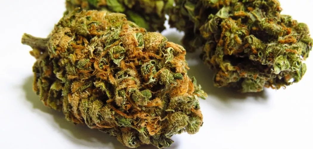 Buy Lemon Haze THC Weed In Sheffield