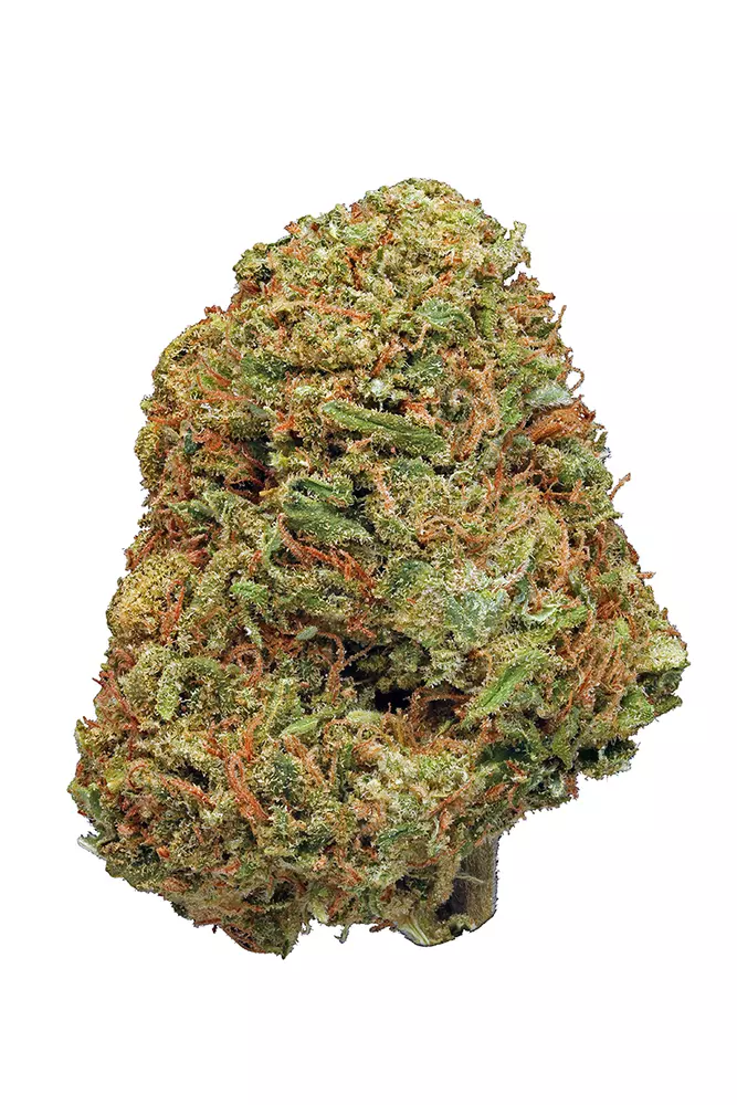 Buy Northern Lights THC Weed In Sheffield