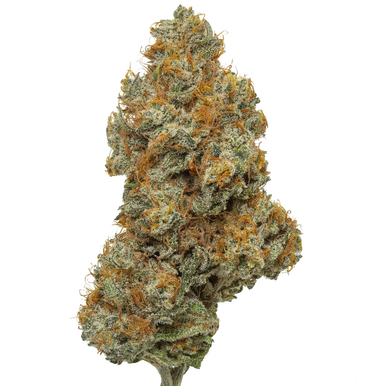 Buy Northern Lights THC Weed In Sheffield