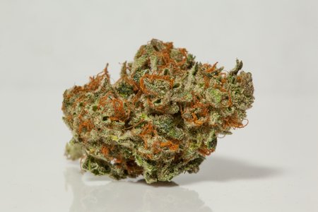 Buy Stardawg THC Weed In Sheffield