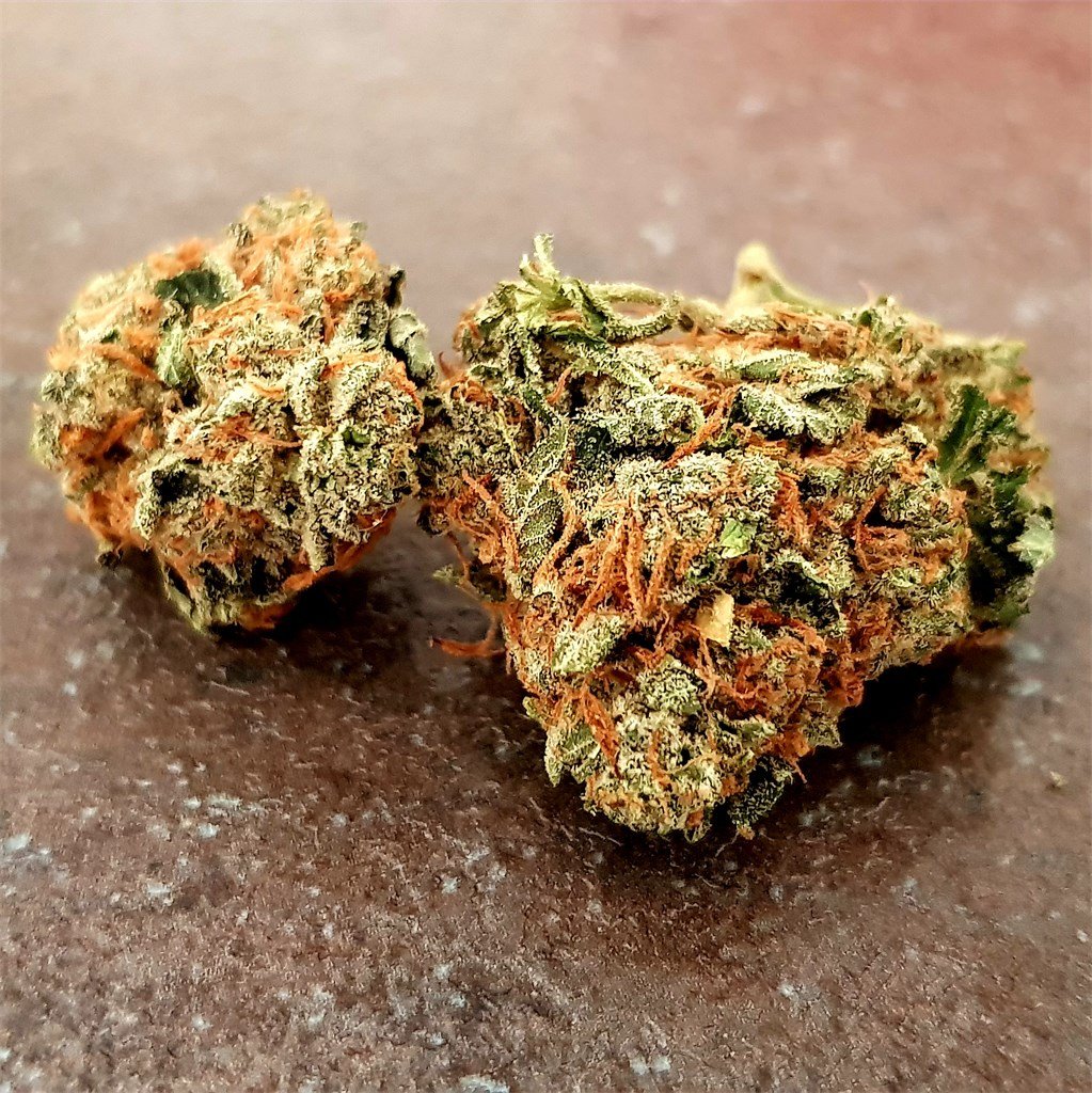Buy Stardawg THC Weed In Sheffield