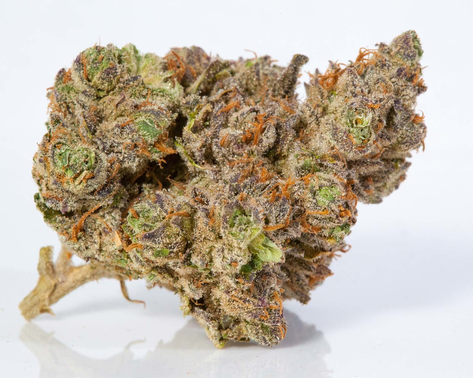 Buy Stardawg THC Weed In Sheffield