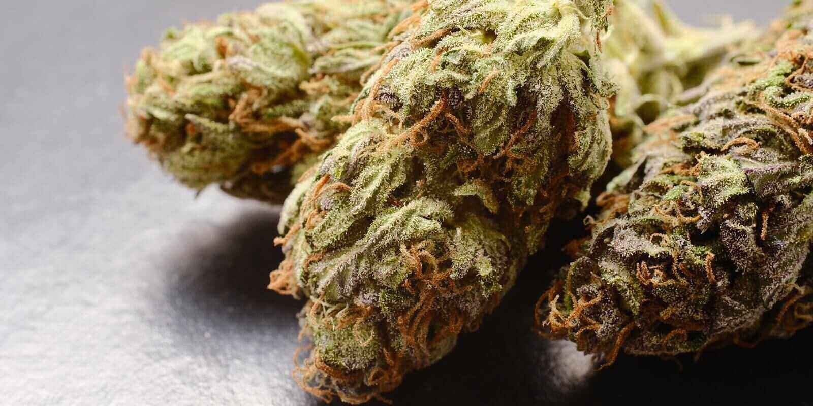 Buy Gorilla Glue THC Weed In Sheffield