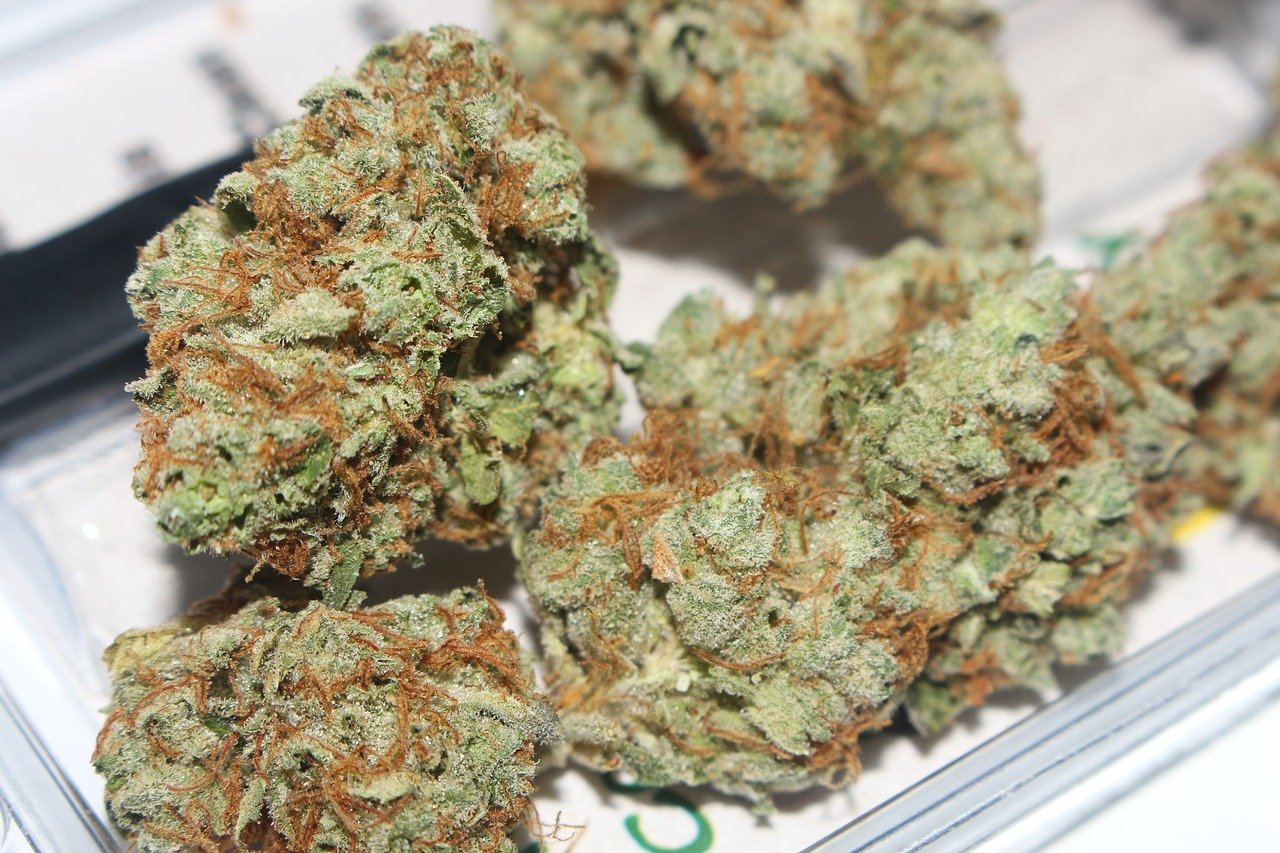 Buy Gorilla Glue THC Weed In Sheffield